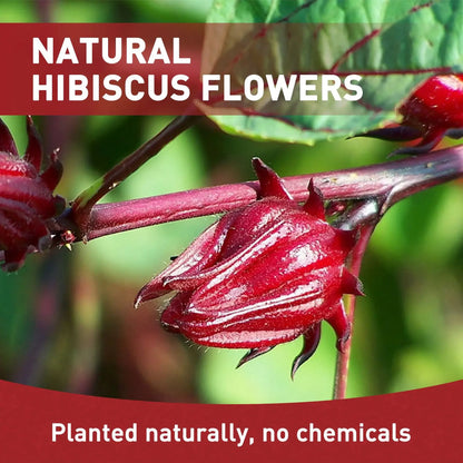 Pure Hibiscus Tea Bags
